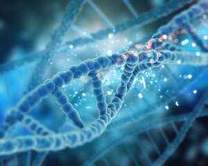 Organic Chemistry in Genetic Engineering organic chemistry homework help